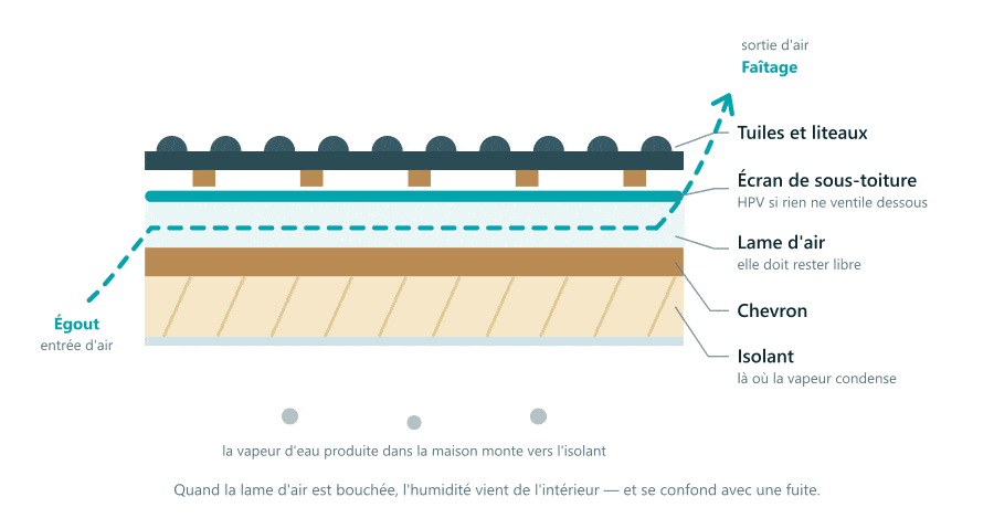 Si la lame d'air est bouchée, l'humidité vient de l'intérieur — et se confond avec une fuite. Coupe d'un rampant de toiture montrant, de l'extérieur vers l'intérieur, les tuiles, les liteaux, l'écran de sous-toiture, la lame d'air ventilée, le chevron et l'isolant. L'air entre à l'égout et ressort au faîtage ; la vapeur d'eau de la maison monte vers l'isolant.